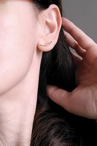 Portion earrings